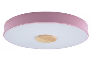 Накладной светильник Loft it Axel 2 10003/24 Pink