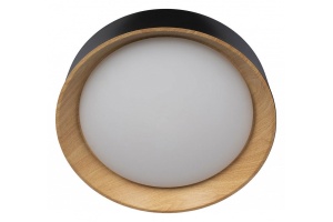 Накладной светильник Loft it Coin 10202 Black - 2