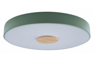 Накладной светильник Loft it Axel 2 10003/24 Green