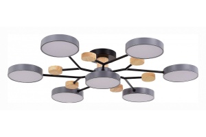 Потолочная люстра EVOLUCE Faema SLE6006-702-07