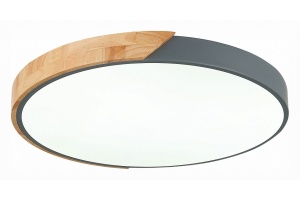 Накладной светильник EVOLUCE Festa SLE200972-01 - 3