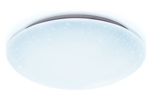 Накладной светильник Ambrella FF FF42 - 2