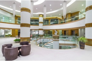 Светильник на штанге Arti Lampadari Stella Stella E 1.3.20.502 N - 2