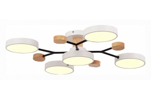 Потолочная люстра EVOLUCE Faema SLE6006-502-05 - 3