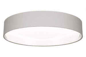 Накладной светильник EVOLUCE Brescia SLE300512-01