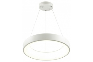 Подвесной светодиодный светильник Odeon Light L-vision Sole 4066/50L - 2