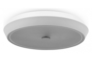 Потолочный светодиодный светильник Freya Cells FR10012CL-L24W