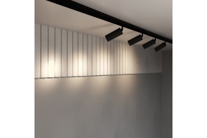 Светильник на штанге Maytoni Focus LED TR032-2-20W3K-S-B - 2