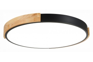 Накладной светильник EVOLUCE Delia SLE201342-01 - 2