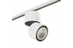 Светильник на штанге Lightstar Forte Muro A1T213850 - 2