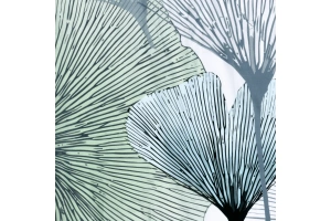 Штора для ванной Wasserkraft Rhein 180х200 рисунок белый - 3