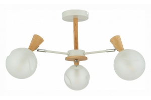 Люстра на штанге EVOLUCE Catania SLE220702-03