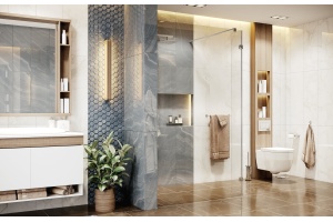 Душевая перегородка Ambassador Walk-in 15031105 90х200 см, профиль хром - 3