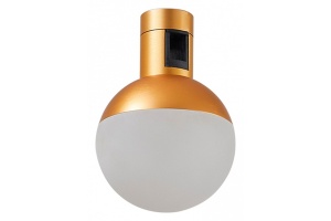 Светильник на штанге ST-Luce Farm ST815.206.05