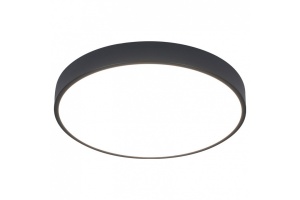 Потолочный светодиодный светильник Arte Lamp Arena A2661PL-1BK