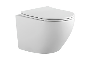 Унитаз подвесной Aquatek Европа 52.5 белый с сиденьем микролифт (AQ1901-00)
