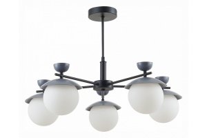 Люстра на штанге EVOLUCE Genova SLE220202-05