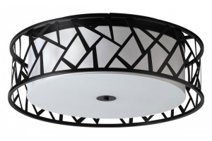 Накладной светильник Sonex Fabiana 7700/60L