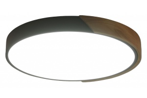 Накладной светильник Zortes ALBERRO ZRS.01287.72 - 2