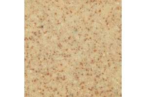 Мойка кухонная Lava Q3 dune (светлый беж) - 2