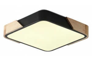 Накладной светильник Zortes ALBERRO ZRS.01281.24 - 3