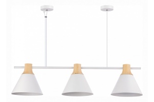 Подвесной светильник EVOLUCE Modica SLE125103-03