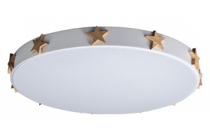 Накладной светильник Loft it Axel 5 10006/36 White