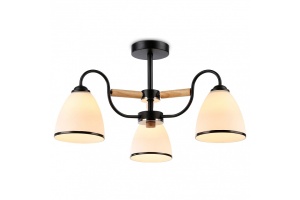 Люстра на штанге Ambrella Light TR TR3033241