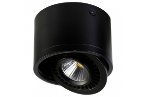 Накладной светильник Favourite Reflector 1779-1C