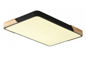 Накладной светильник Zortes ALBERRO ZRS.01244.60 - 2