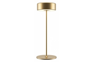 Настольная лампа декоративная Maytoni AI Collaboration MOD229TL-L3G3K2