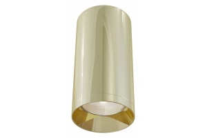 Потолочный светильник Maytoni Alfa C010CL-01G