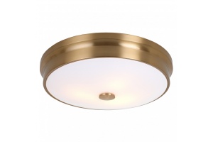 Накладной светильник Favourite Pannikin 2375-3C