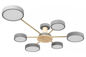 Потолочная люстра Loft it Sunrise 10316/6 Grey