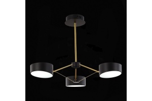 Люстра на штанге EVOLUCE Valle SLE6005-402-03 - 2