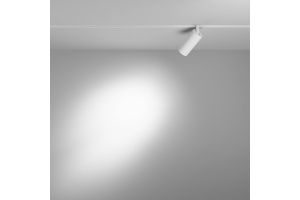 Светильник на штанге Maytoni Focus LED TR032-4-5W3K-S-DS-W - 3