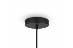 Подвесной светильник Maytoni Roots MOD197PL-01W - 3