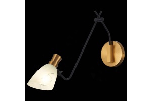 Бра EVOLUCE Lita SLE205401-01 - 3