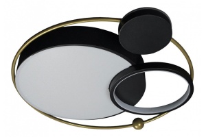 Потолочный светодиодный светильник Loft IT Mike 10064