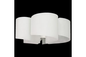 Потолочная люстра Lightstar Simple Light 811 811050 - 2