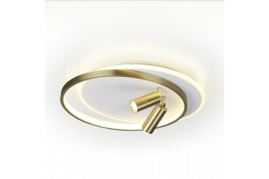 Потолочная светодиодная люстра Lumion Naoko 5603/63CL - 2