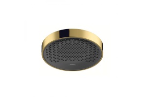 Верхний душ Rainfinity 250 1jet Hansgrohe 26228990, золото