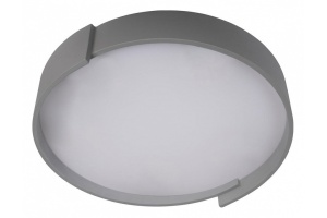 Накладной светильник Loft it Coin 10200 Grey - 2
