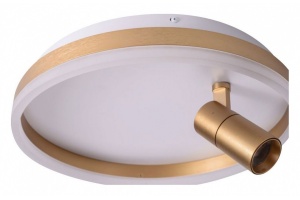 Накладной светильник Zortes Raizy ZRS.1888.04