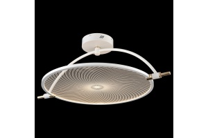 Светильник на штанге Wertmark Laura WE430.03.007