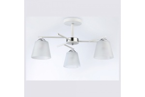 Светильник на штанге Ambrella Light TR TR303202