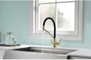 Смеситель Paulmark Siegen для кухонной мойки, золото Si213111-G - 2