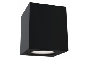 Потолочный светильник Maytoni Alfa C013CL-01B