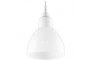 Трековый светильник Lightstar Loft (865016+594006) L3T865016