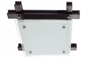 Потолочный светильник Arte Lamp 94 A6462PL-2CK